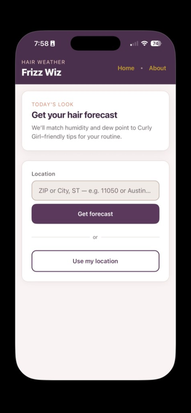 Frizz Wiz home screen — enter location